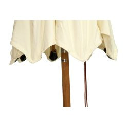 Market Umbrella